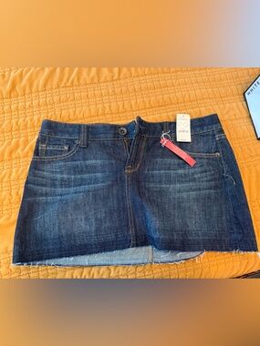 Express Dark Blue Denim Mini Skirt